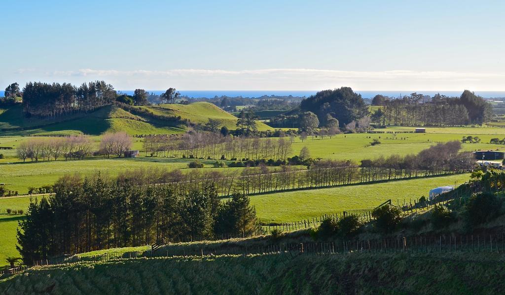 A Touch Of Tuscany At Hillsborough New Plymouth Exterior photo